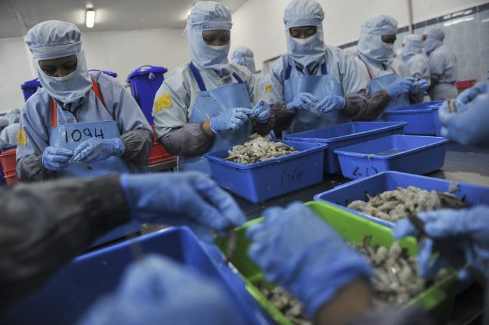 RUU Cipta Kerja diharapkan mengakomodasi kepentingan pekerja dan pengusaha. 