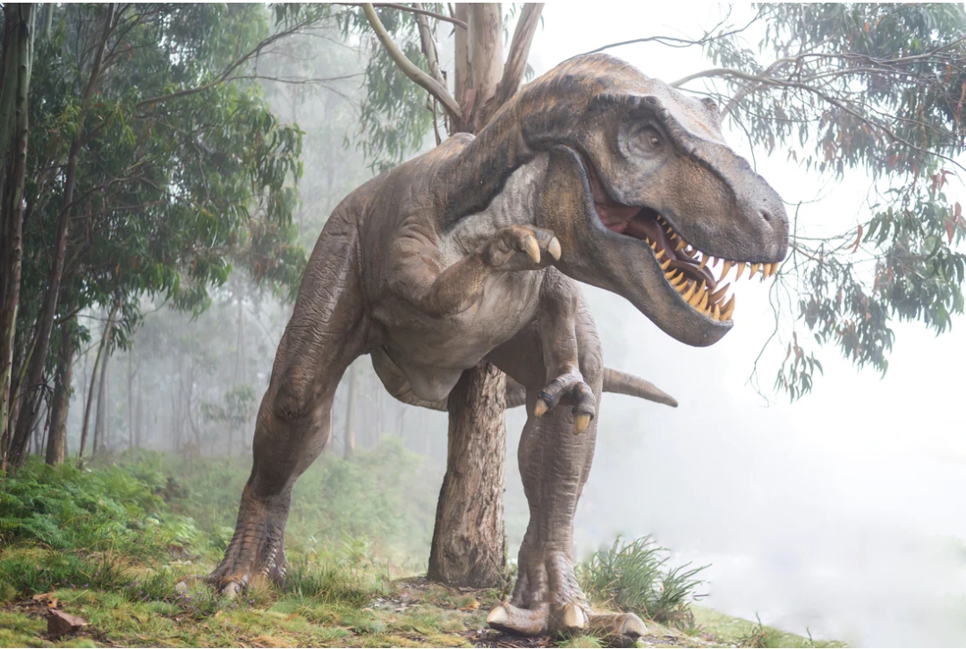 Lewat teknologi realitas berimbuh terbaru dari Google, anda dapat melihat dinosaurus dalam skala utuh di rumah.