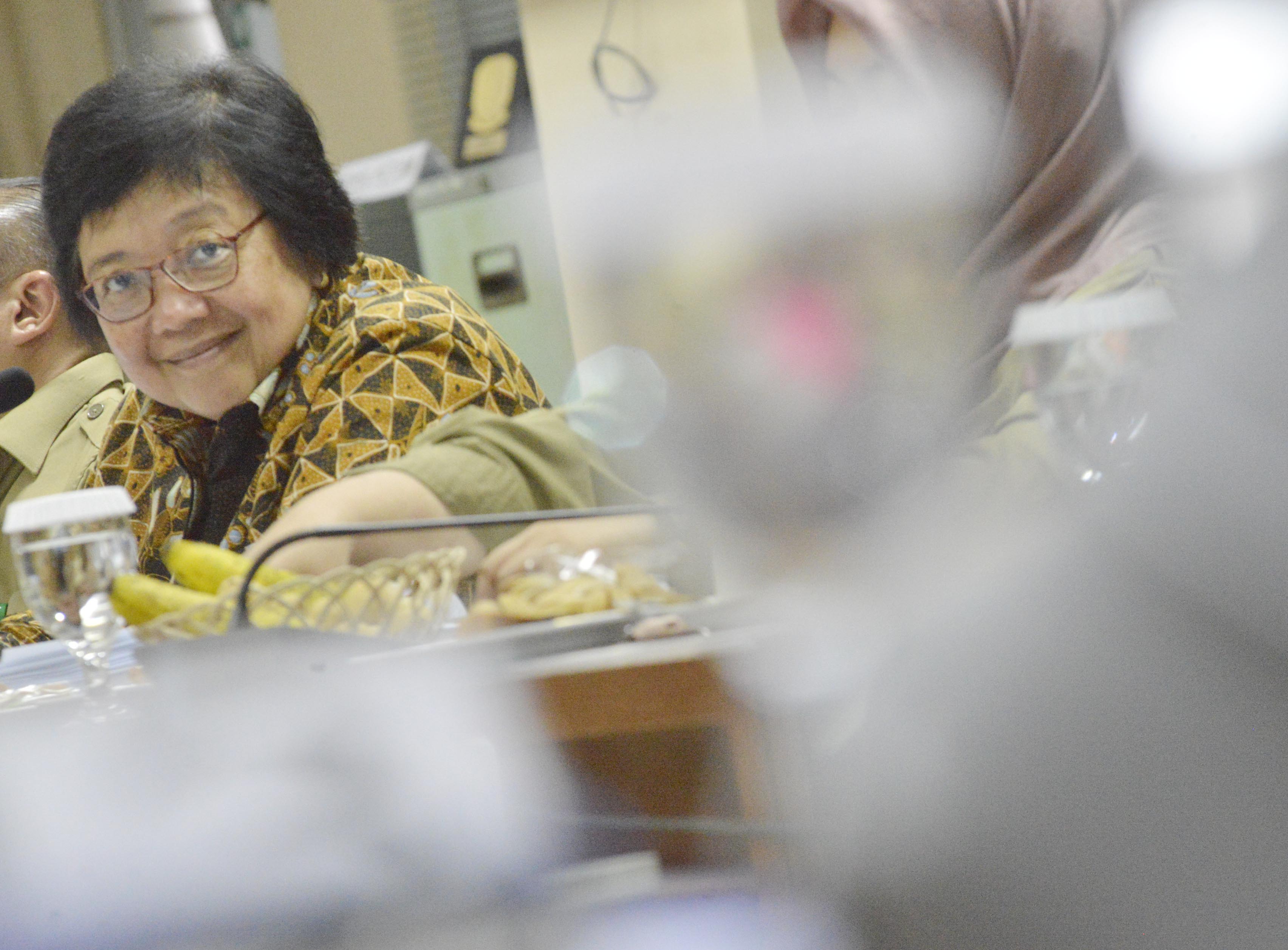 Menteri Lingkungan Hidup dan Kehutanan (LHK) Siti Nurbaya