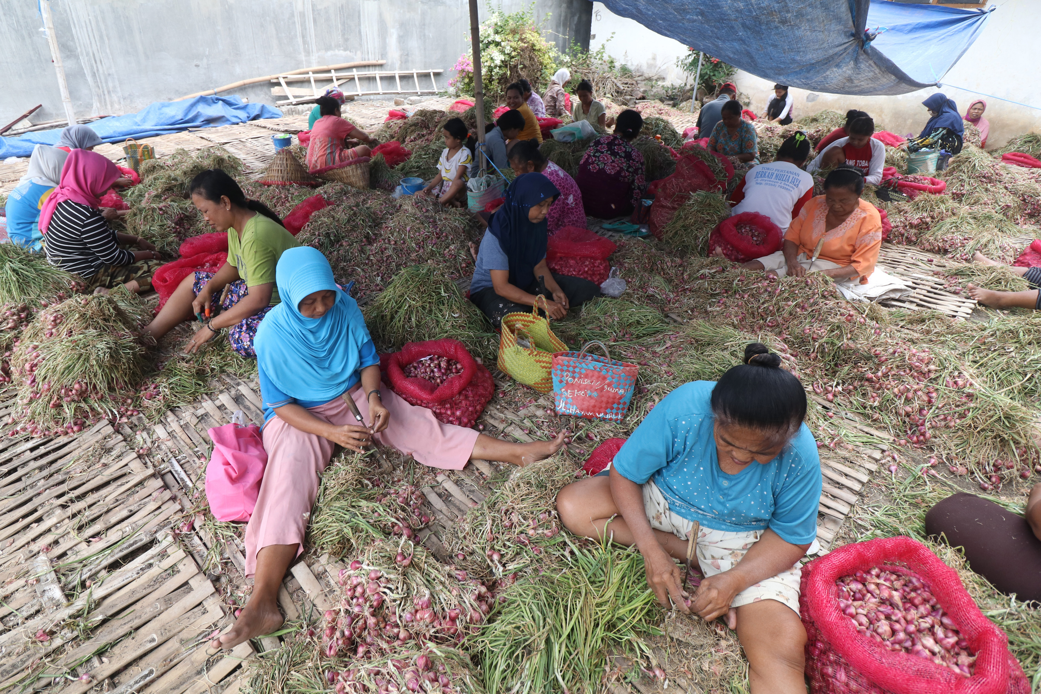 Pekerja memisahkan bawang merah dari daunnya dengan cara dipotong di Desa Sekoto, Kediri, Jawa Timur, Selasa (11/8).