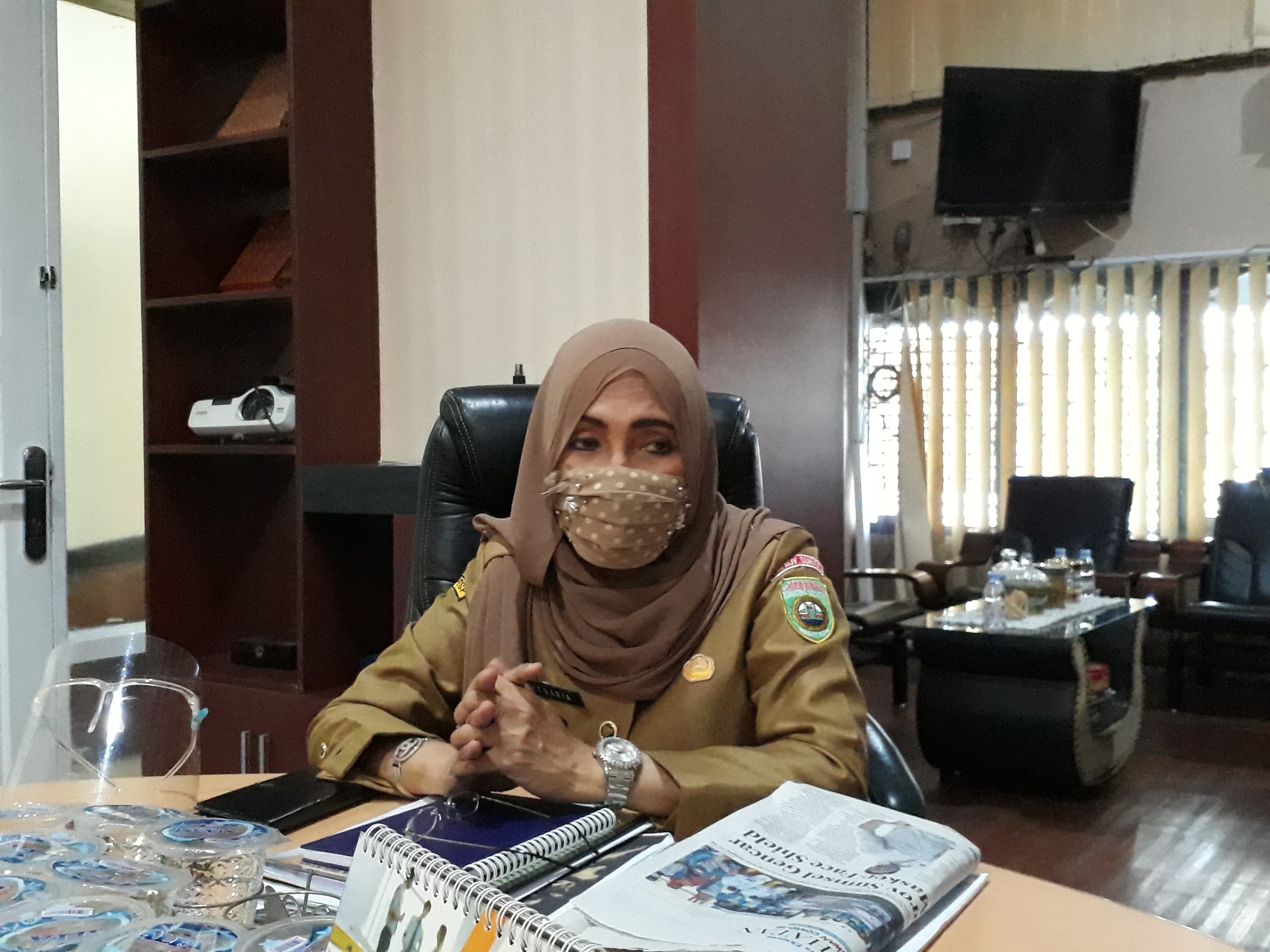 Kepala Dinas Penanaman Modal dan Perizinan Terpadu Satu Pintu (DPMPTSP) Sumsel, Megaria.