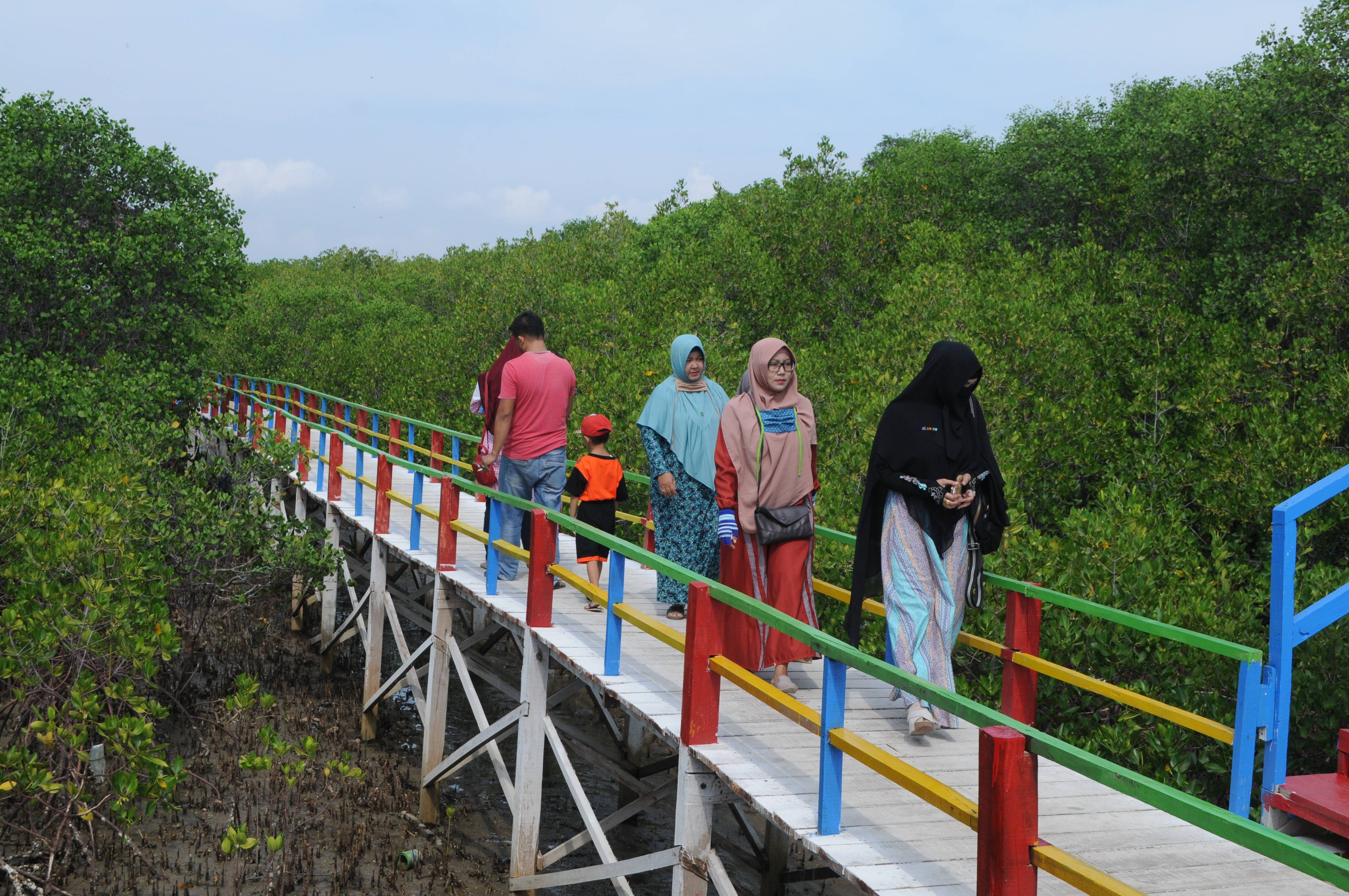 Ekowisata kawasan (hutan bakau) mangrove 