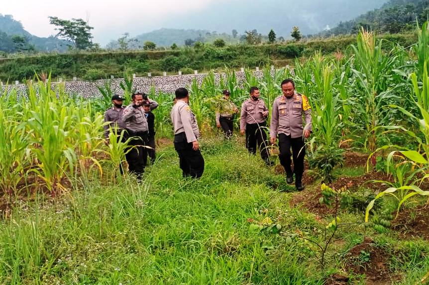 Kapolresta Tasikmalaya, AKBP Anom Karibianto (kanan) meninjau lahan kosong di kaki Gunung Galunggung, yang ditanami jagung.