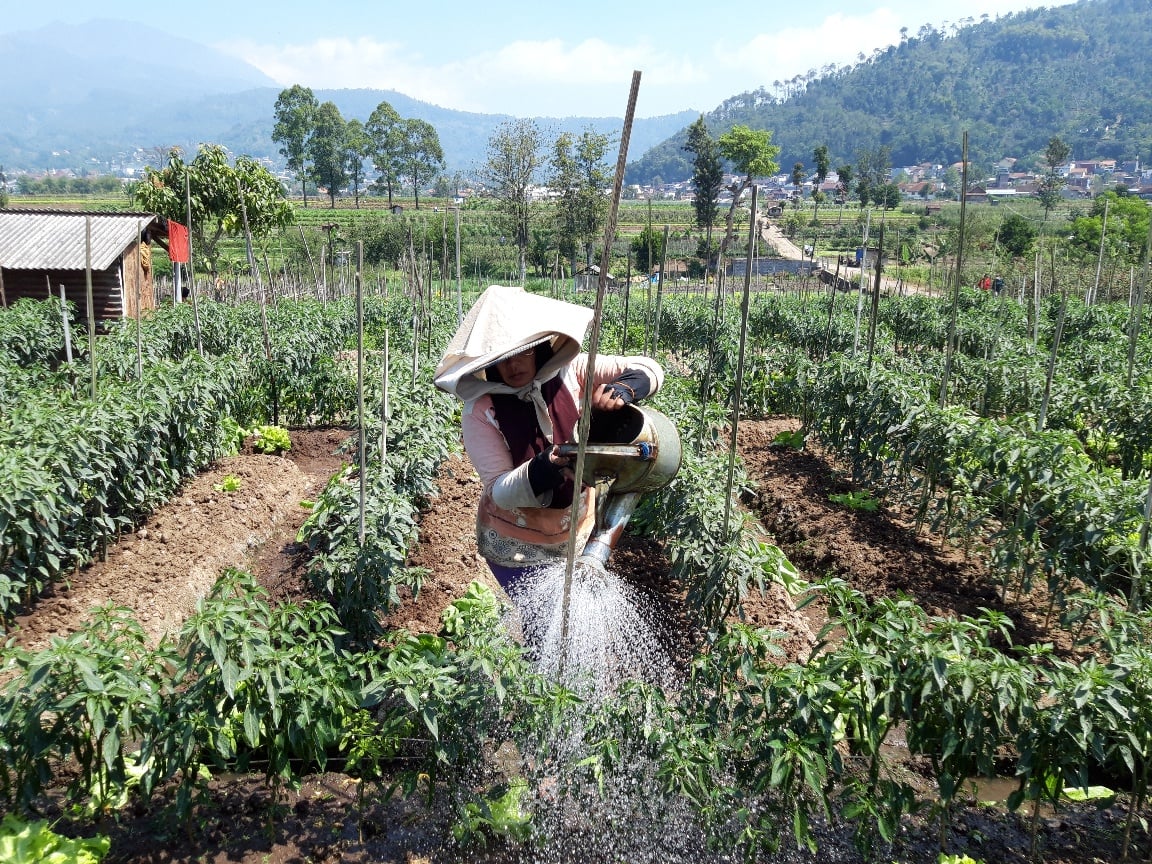 BPS: Ekonomi Jatim Triwulan II-2020 Kontraksi 5,90 Persen 