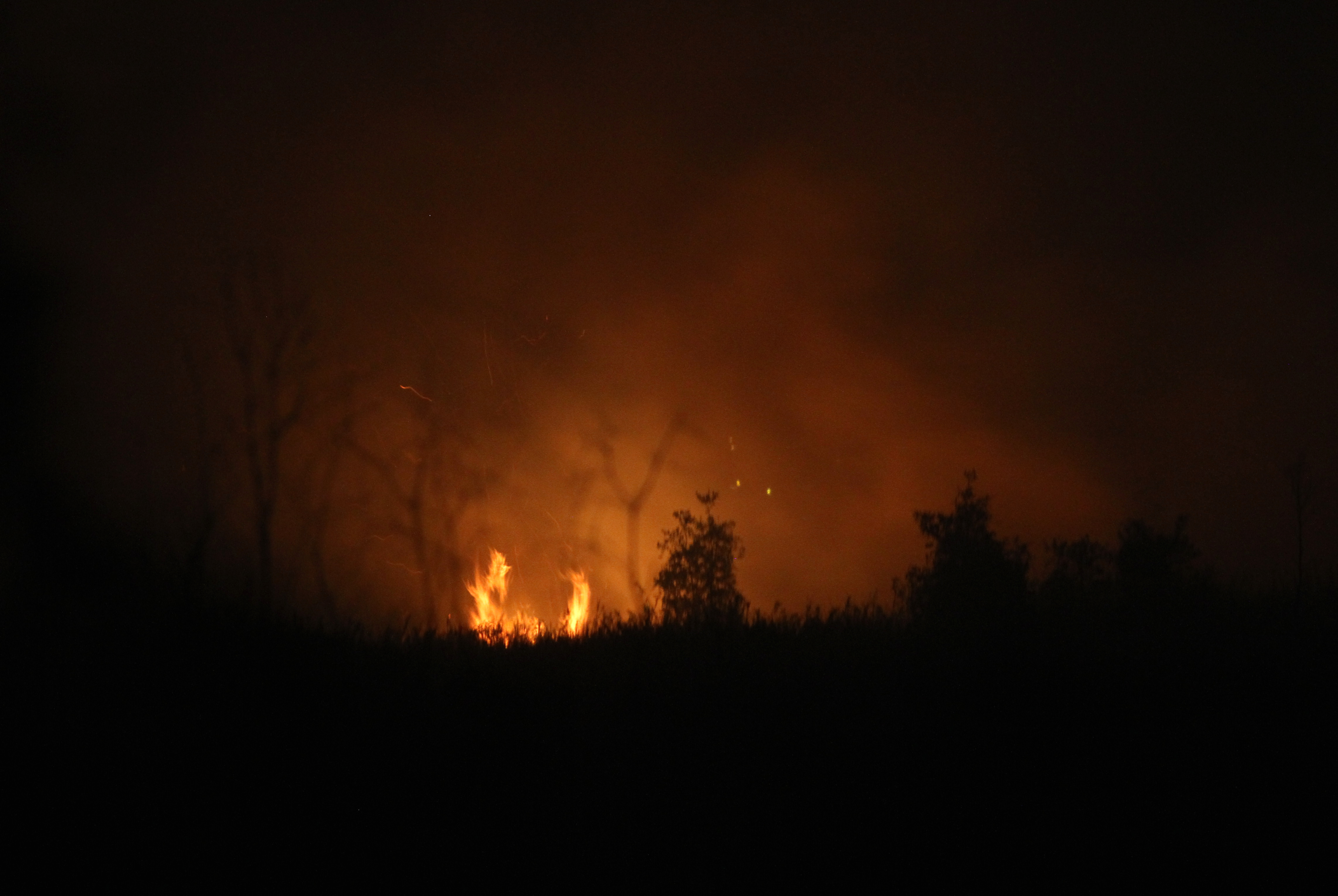 Api membakar hutan dan lahan gambut di Kabupaten Banjar, Kalimantan Selatan, beberapa waktu lalu.