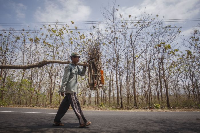 Ada 25 Kecamatan di Jateng Berkategori Awas Kekeringan