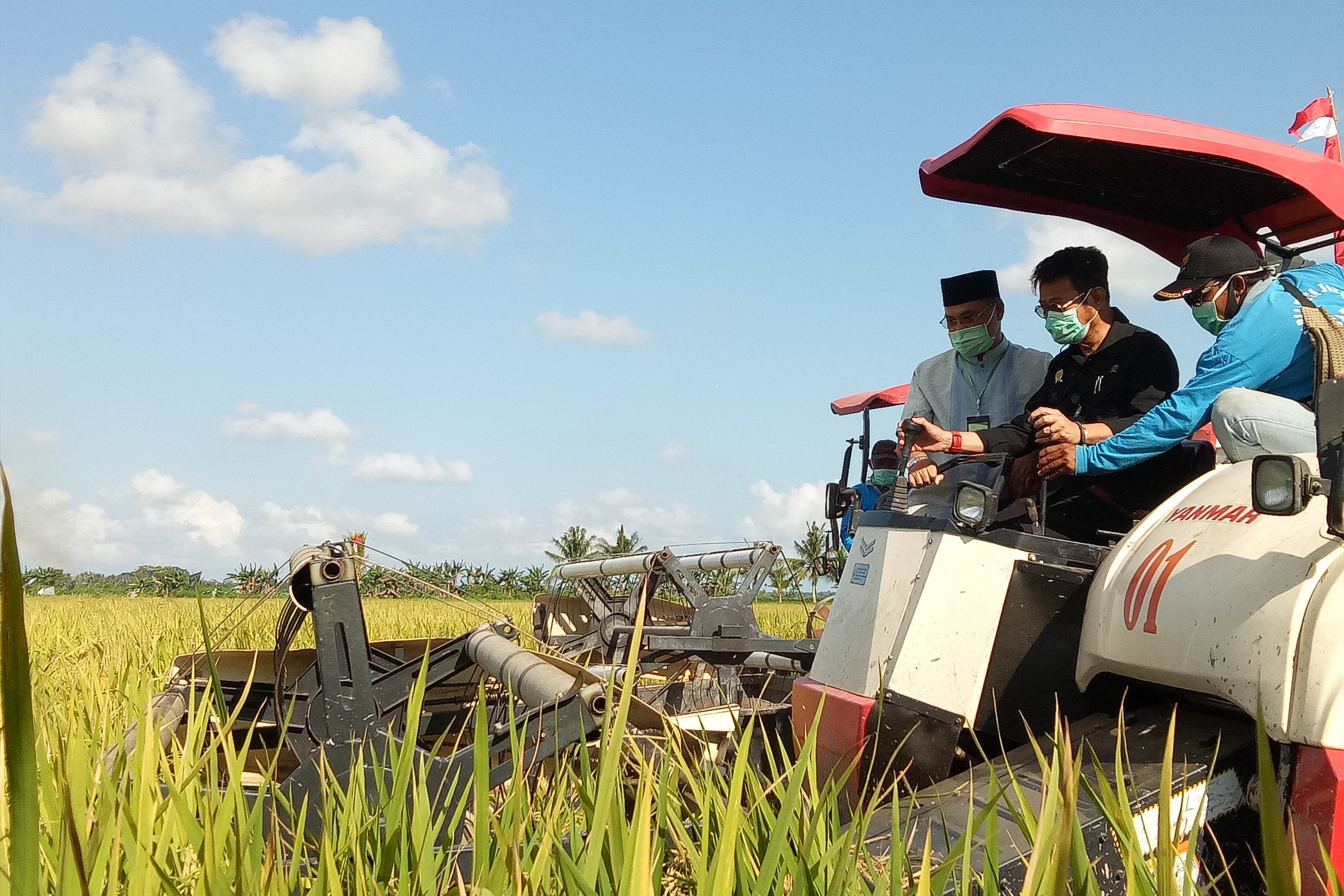 Menteri Pertanian Syahrul Yasin Limpo (kedua dari kanan) panen padi di Desa Rias Bangka Selatan, Jumat (8/7).