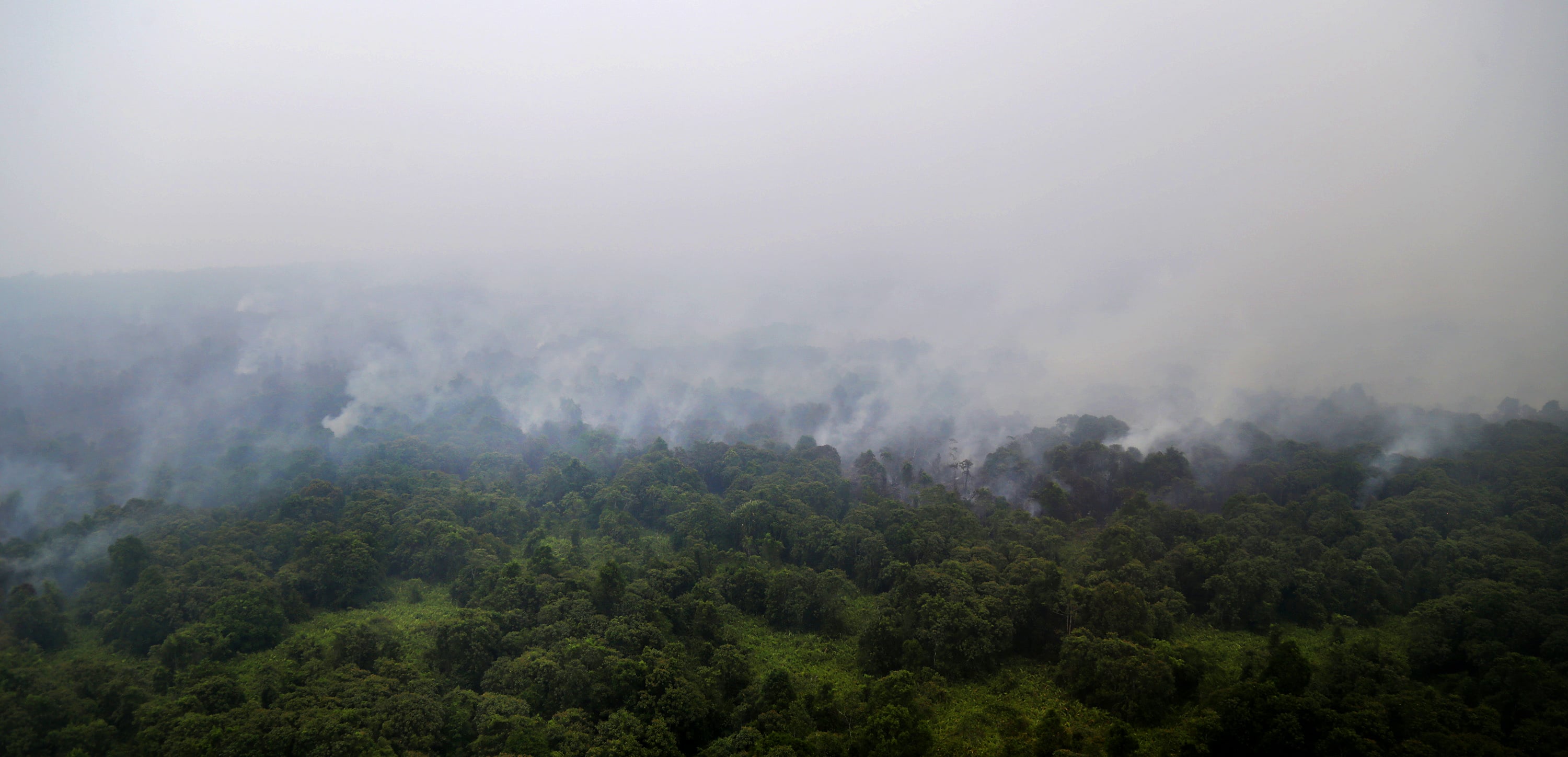 Foto udara kebakaran hutan lindung di Kepulauan Bangka, Bangka Belitung.