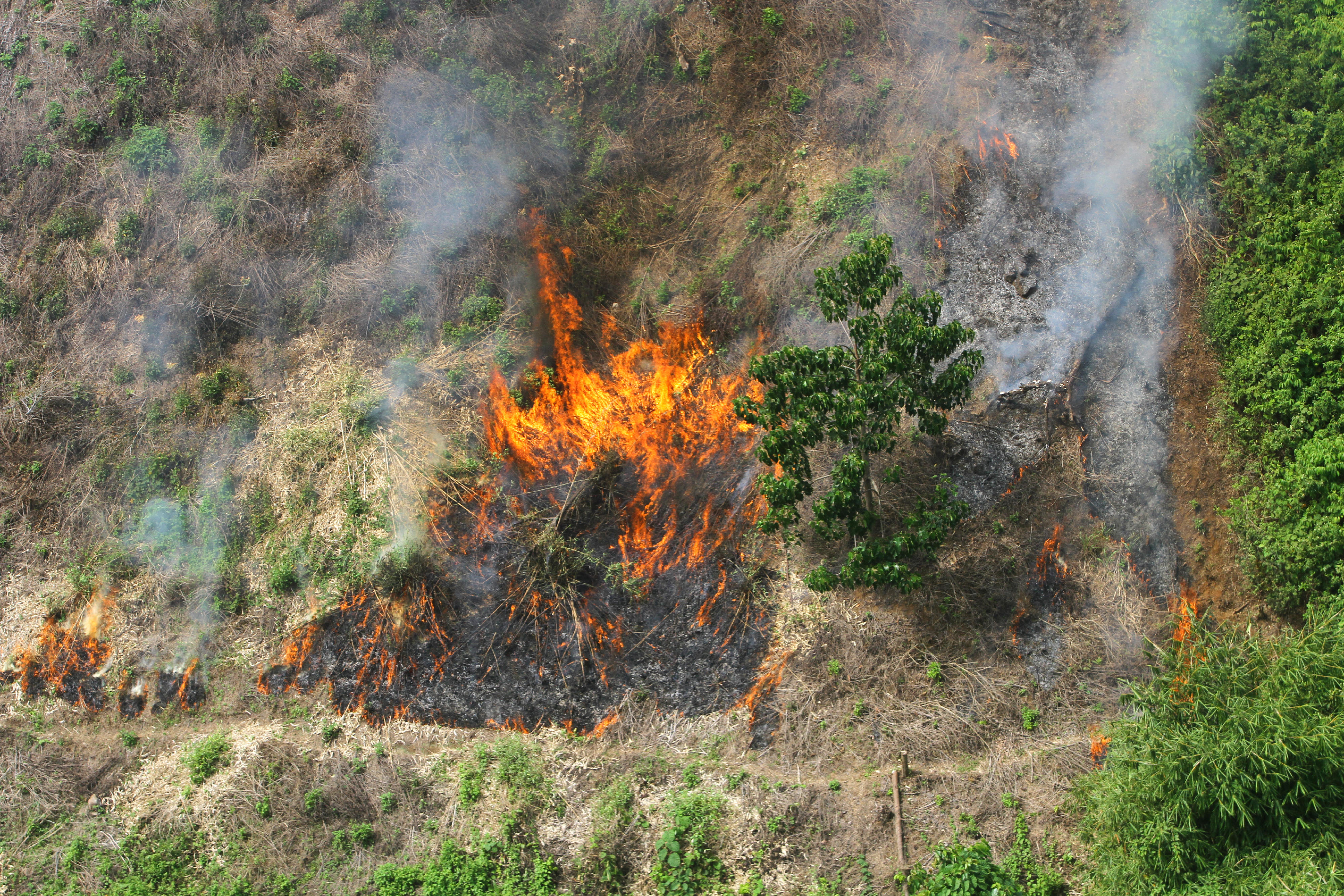 Foto udara kebakaran hutan dan lahan di Pegunungan Meratus, Kabupaten Balangan, Kalimantan Selatan.