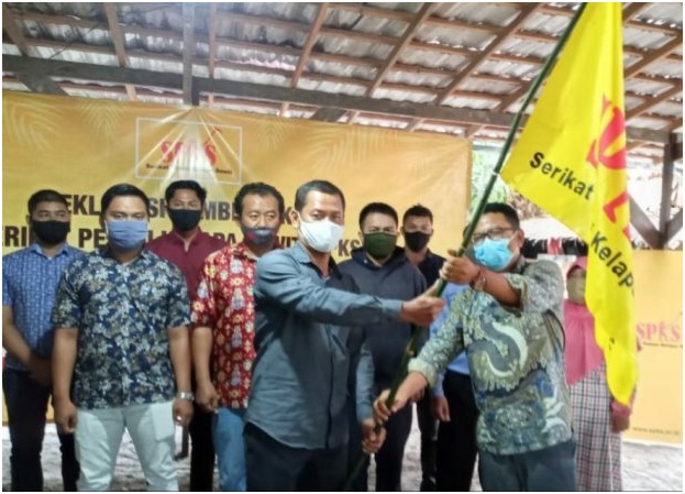 Petani kelapa sawit di Kabupaten Kotawaringin Barat dan Seruyan, Kalteng, mendeklarasikan terbentuknya SPKS (Serikat Petani Kelapa Sawit)