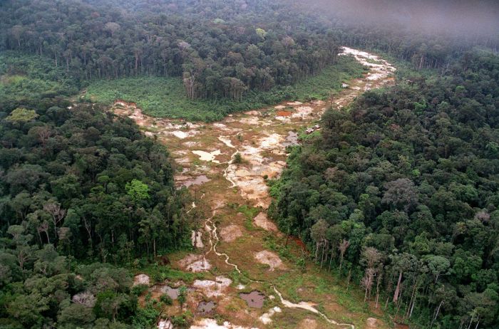 Laju deforestasi di hutan hujan Amazon Brasil terus meningkat. 