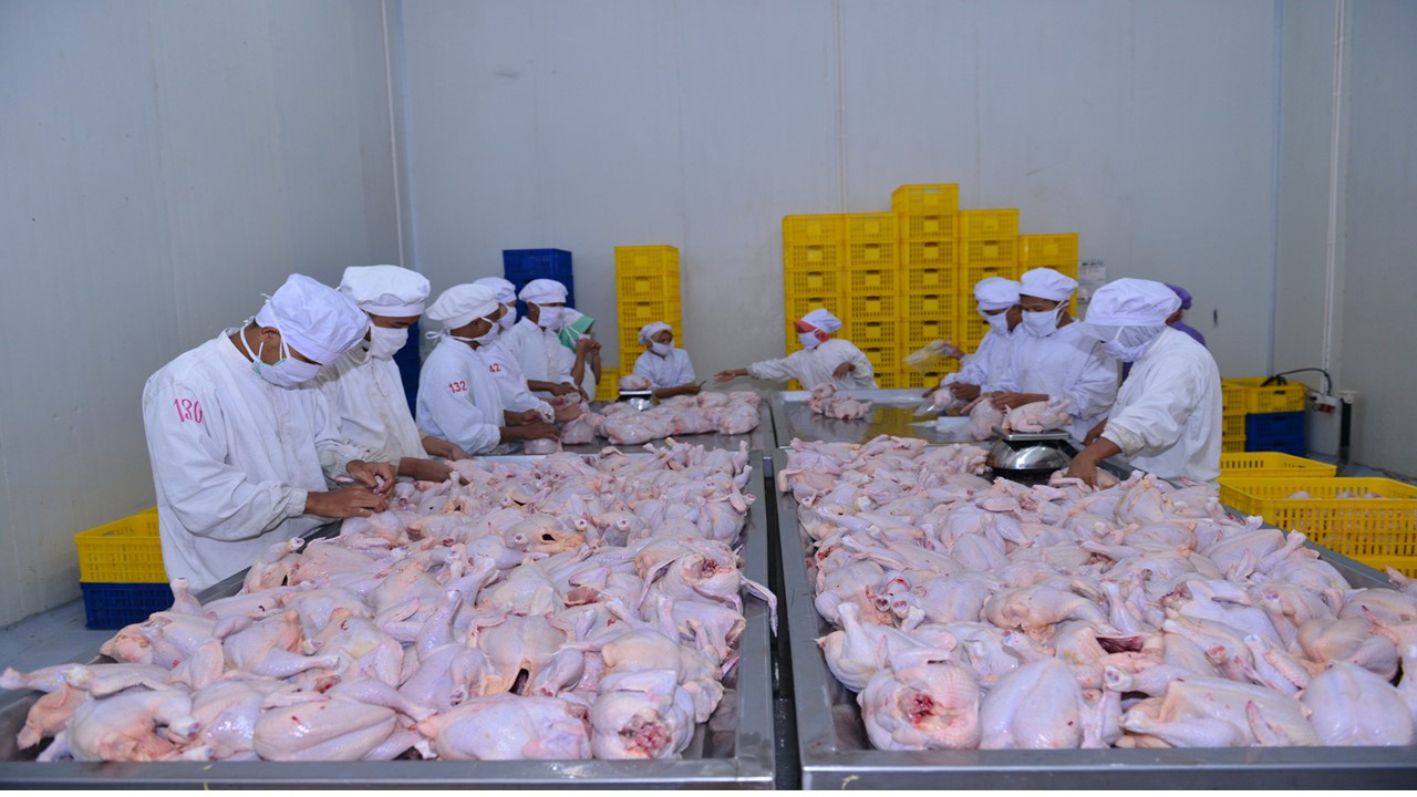Pengolahan di PT Widodo Makmur Unggas Jakarta.