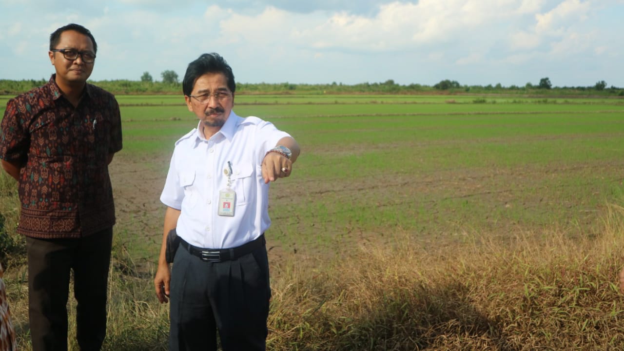 Kementerian Pertanian menggelontorkan sejumlah bantuan mulai dari alsintan hingga kegiatan padat karya untuk meningkatkan produktivitas. 