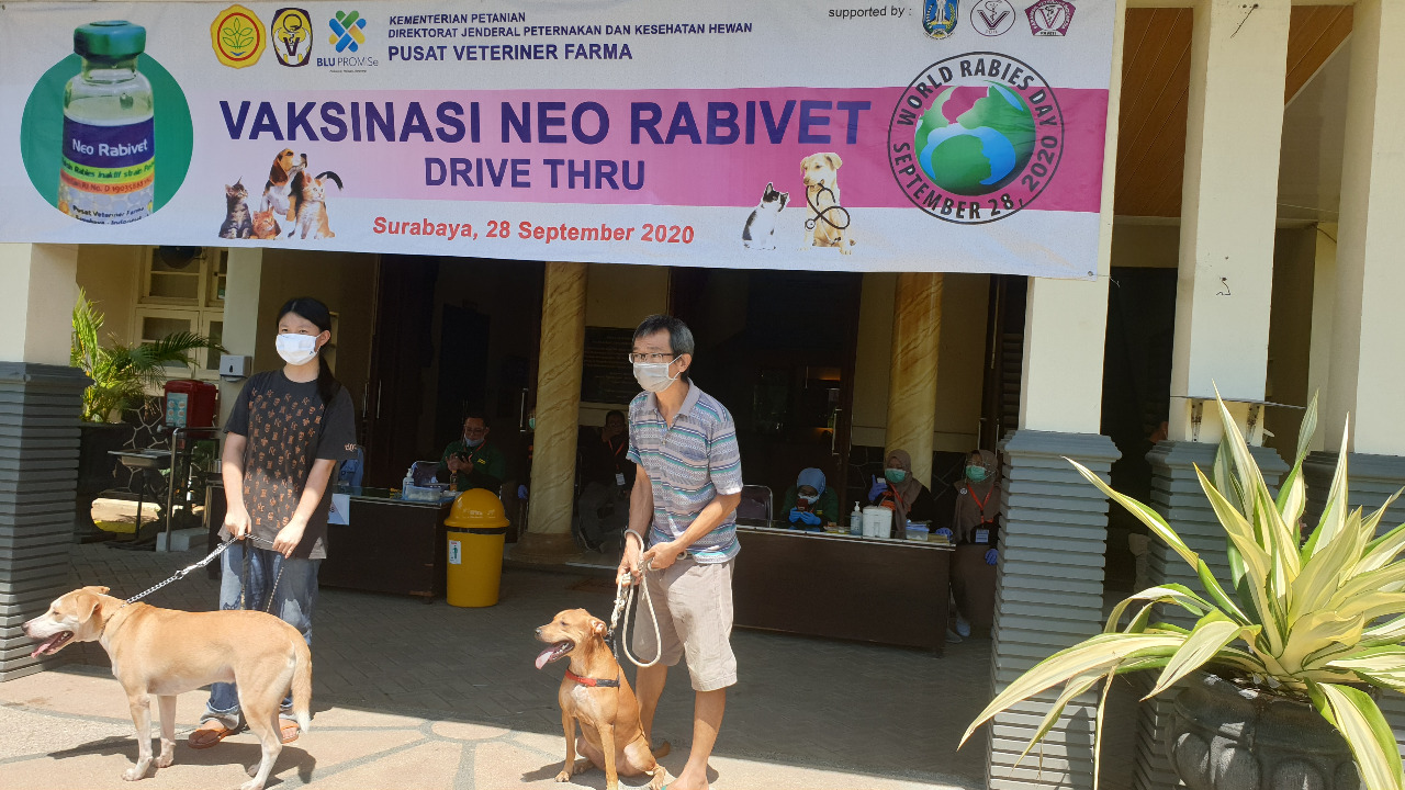 Ditjen PKH, Kementerian Pertanian, Pusat Veteriner Farma (Pusvetma) melakukan vaksinasi rabies dengan cara drive thru.