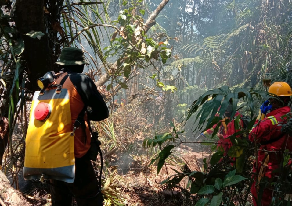 Petugas dibantu relawan tengah menuju lokasi kebakaran hutan di kawasan Gunung Tangkuban Parahu