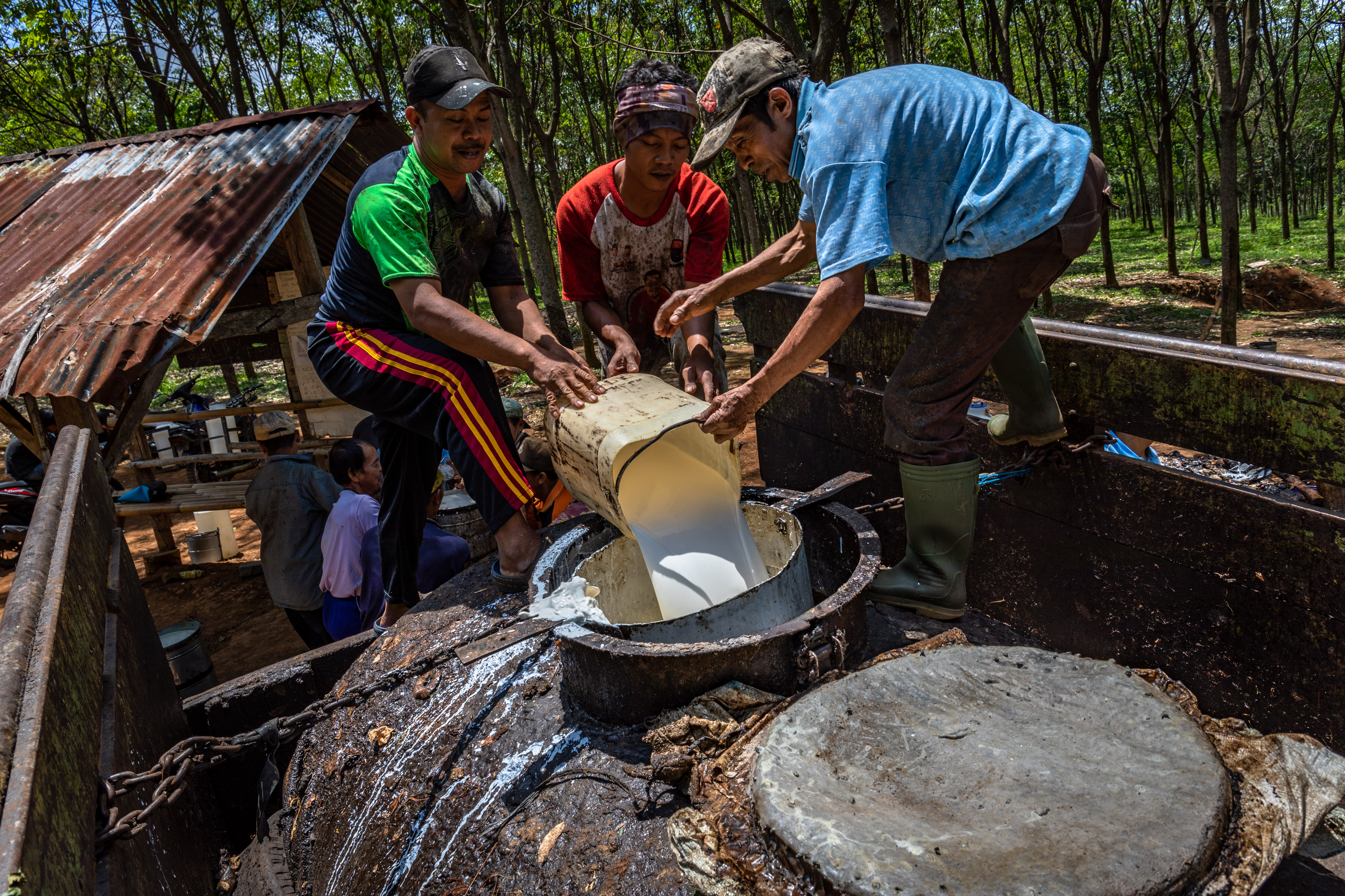 Sejumlah pekerja memasukkan getah karet ke dalam tangki penampungan di Bergas, Semarang, Jawa Tengah, Senin (14/9).