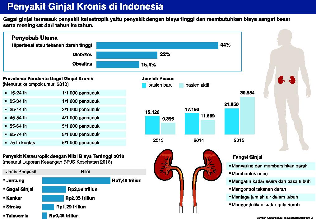  Penyakit Ginjal Kronis di Indonesia