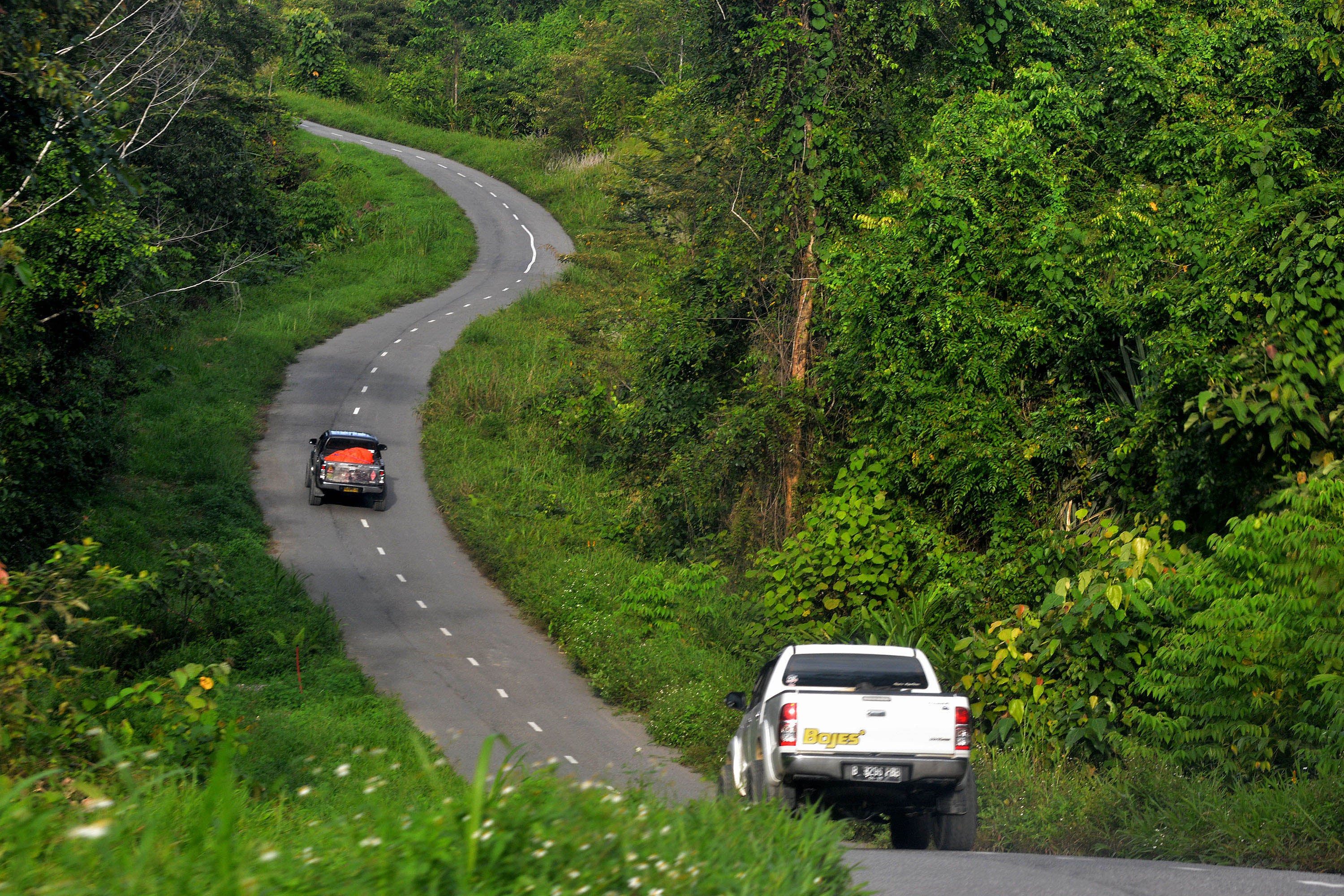 Kendaraan melintasi ruas jalan Trans-Papua Barat yang melintasi hutan lebat di Teluk Bintuni-Manokwari, Papua Barat.
