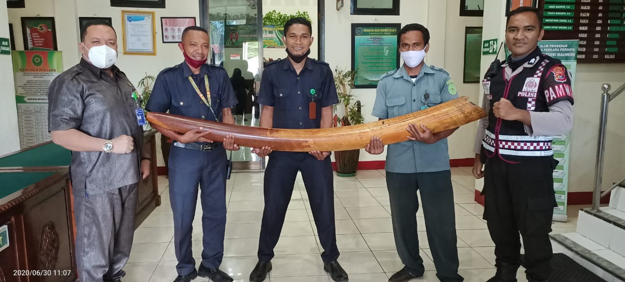 Barang bukti gading pusaka yang dicuri