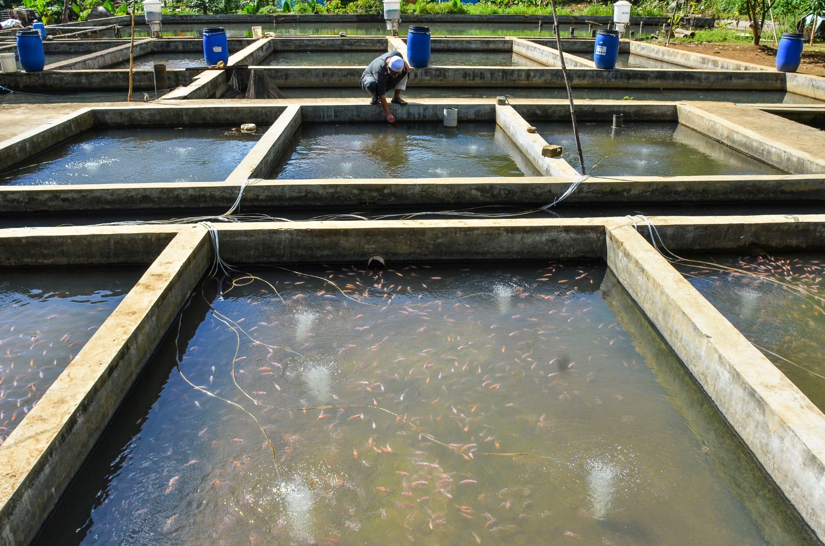Kementerian koordinator Bidang Perekonomian berupaya meningkatkan inklusi keuangan syariah dengan melibatkan pondok pesantren.