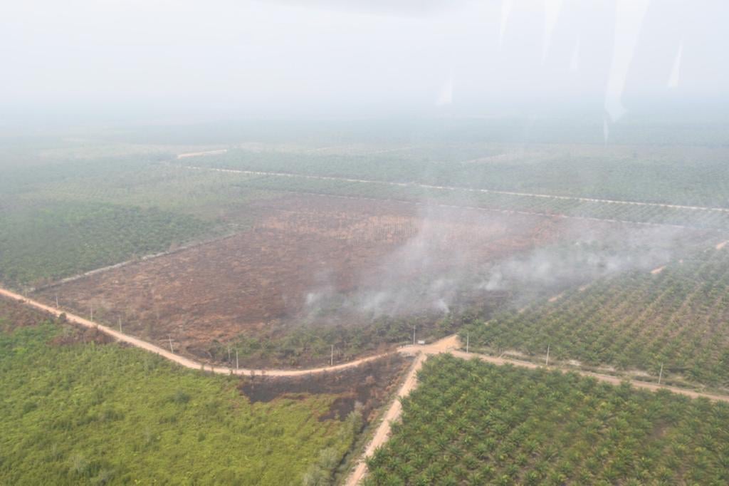Foto udara karhutla di Sumsel