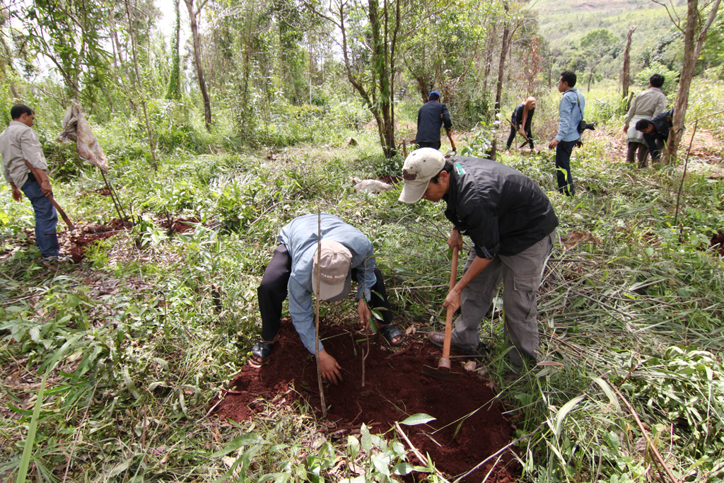 Penanaman pohon buah-buahan di kawasan Taman Hutan Raya Sultan Adam, Kabupaten Banjar.