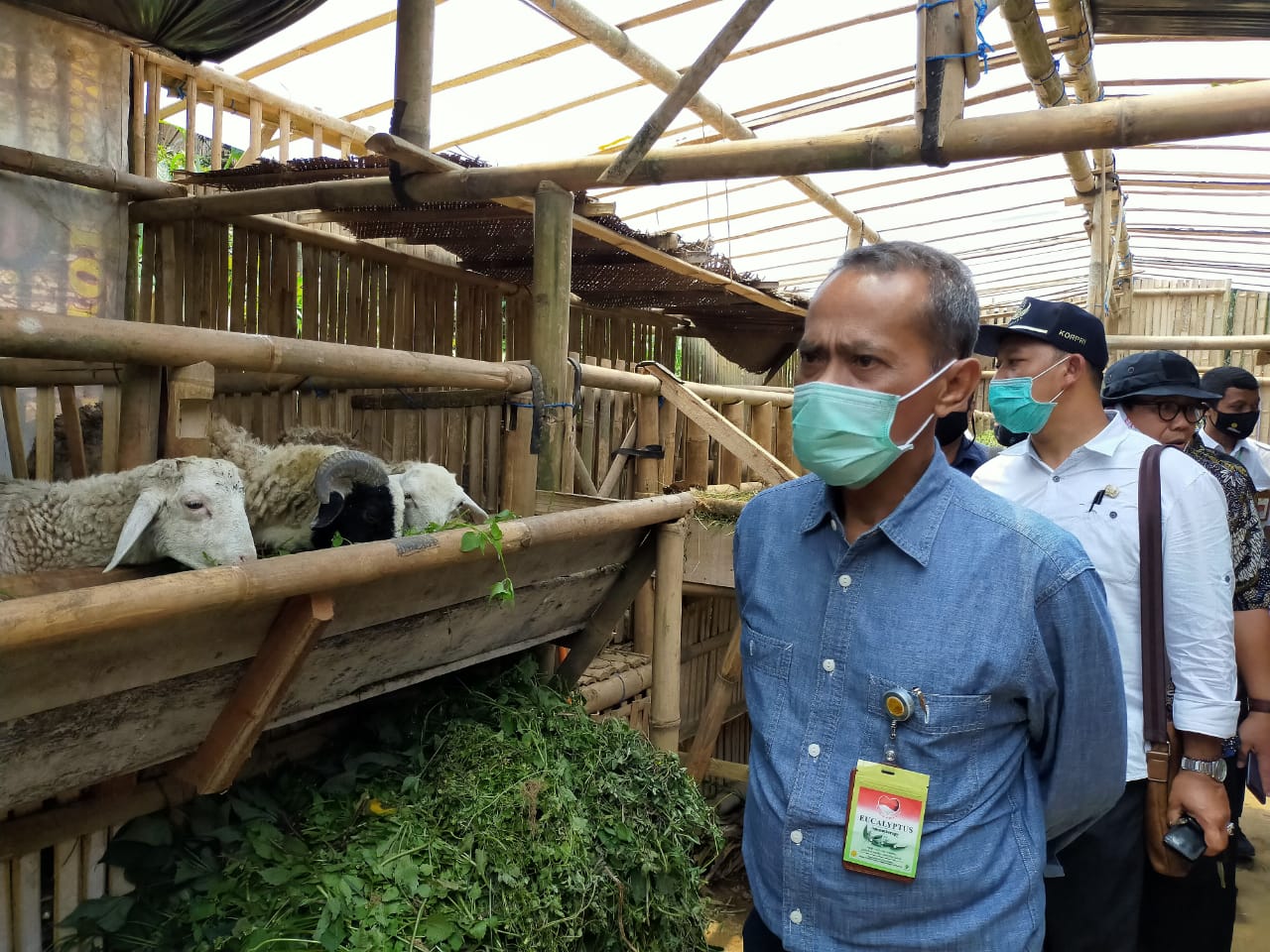 Kepala Badan Ketahanan Pangan, Kementan, Agung Hendriadi, mengunjungi Gabungan Kelompok Tani (Gapoktan) Sido Lestari di Jawa Tengah.