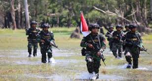 TNI berpatroli di Papua