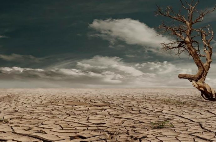 Sebanyak 28 Desa Dilanda Kekeringan di Kabupaten Bogor