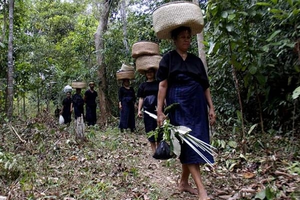 Ilustrasi -- Suku adat Kajang Ammatoa di Kawasan Hutan Adat Kajang Ammatoa, Kabuapten Bulukumba, Sulawesi Selatan, Sabtu (4/11/2017)  