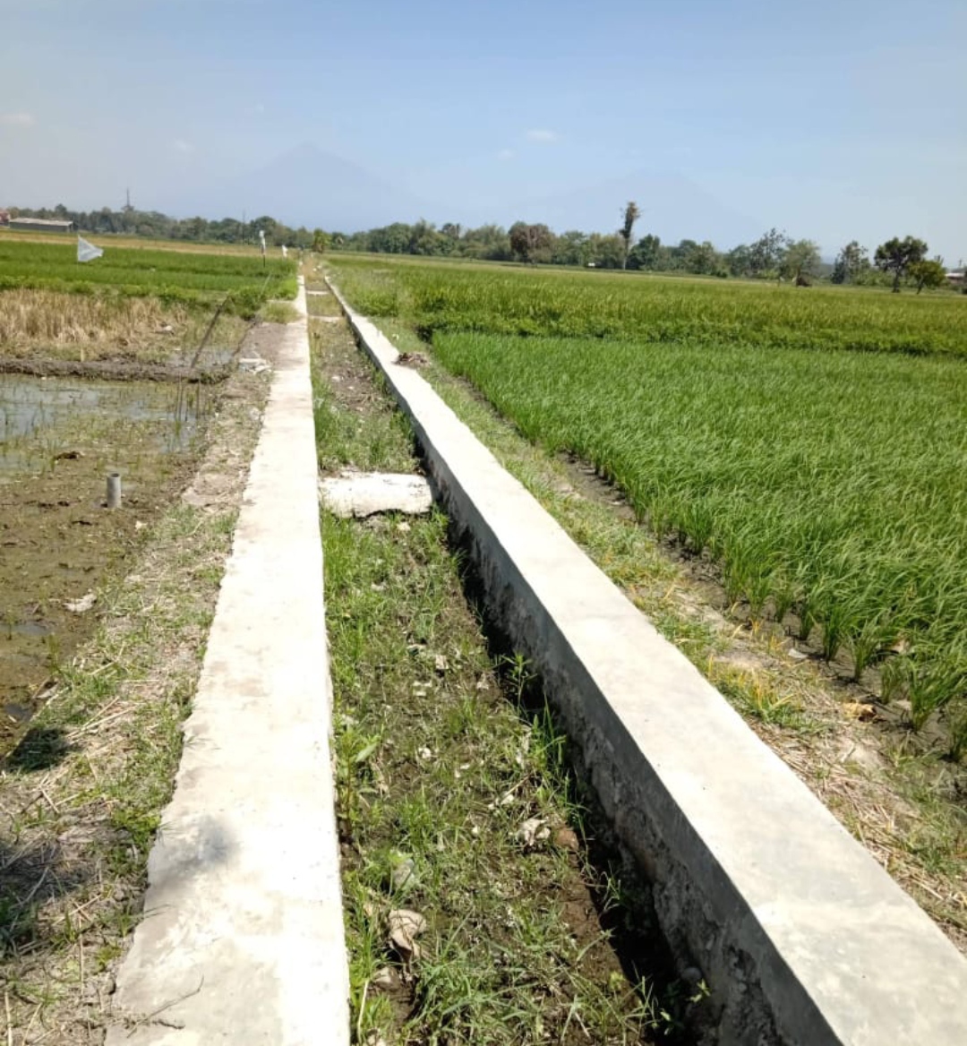 Realisasi fisik di Desa Cepoko Sawit sudah mencapai 100%.