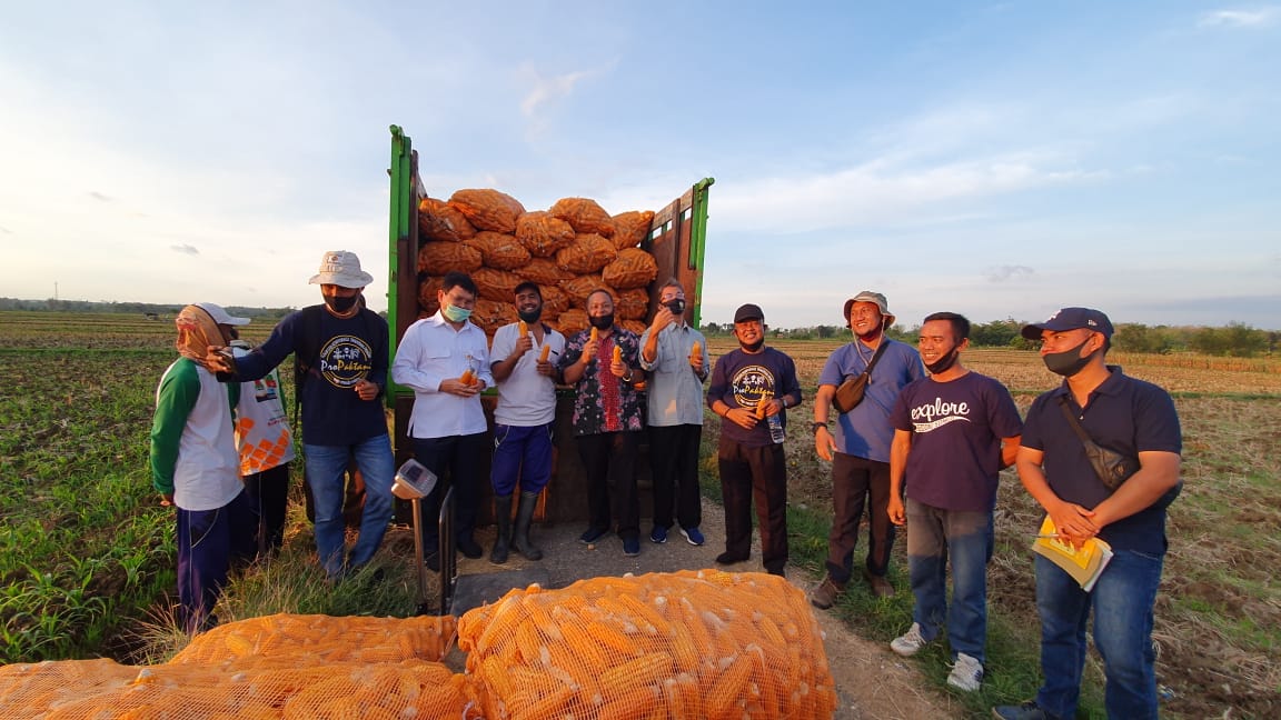 Pelaksanaan panen jagung varietas Nasa 29 seluas 75 hektare (ha) di Kelompok Tani Cinde Laras, Desa Paseyan, Jatirogo, Tuban, Jatim.