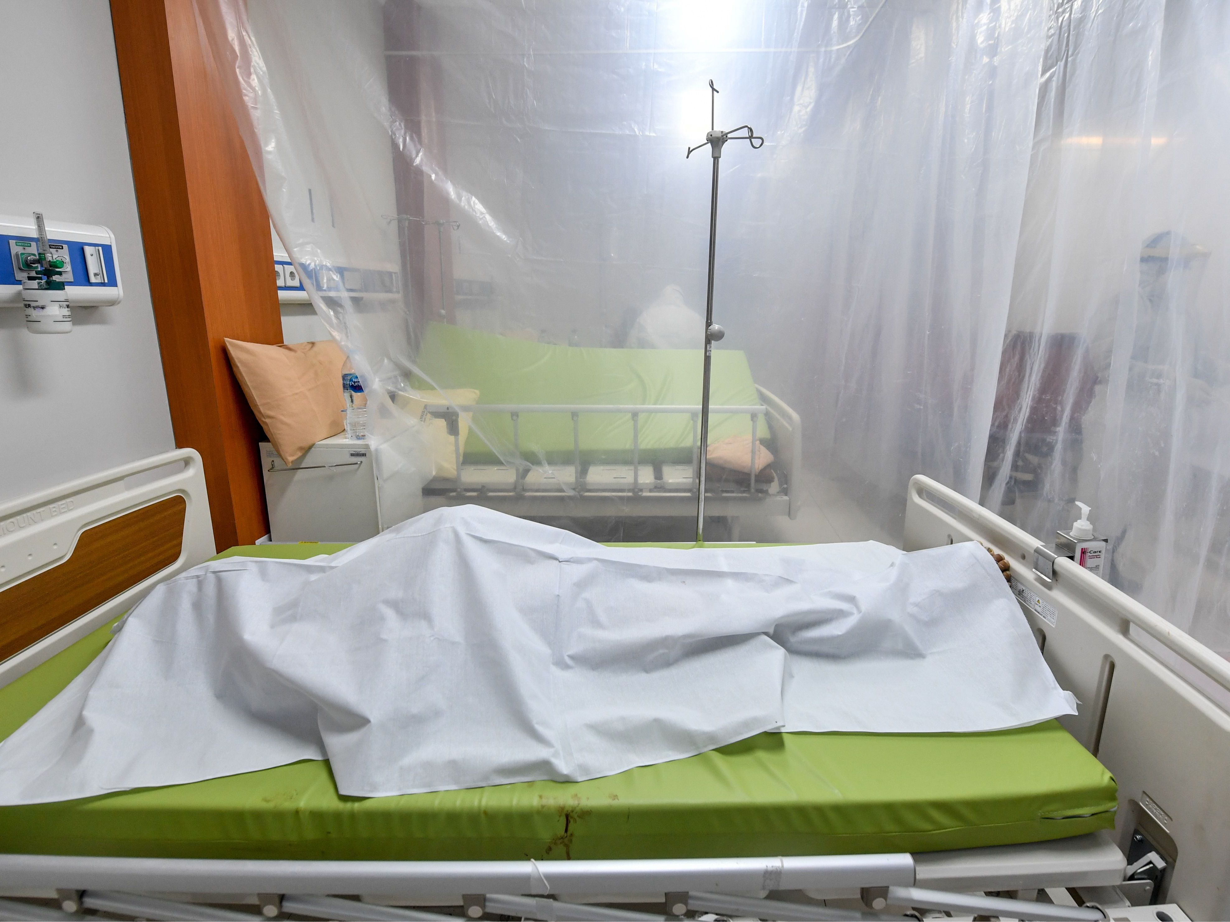 Catatan Sejarah tentang Covid-19 dan Virus Lain 