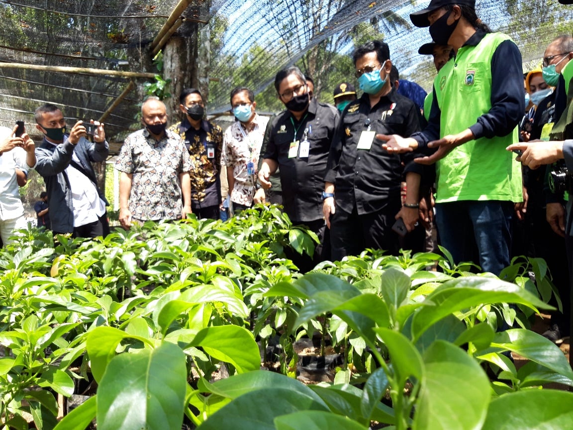 Menteri Pertanian (Mentan) Syahrul Yasin Limpo menanam benih alpukat varietas pameling di Desa Wonorejo, Kecamatan Lawang, Kabupaten Malang.