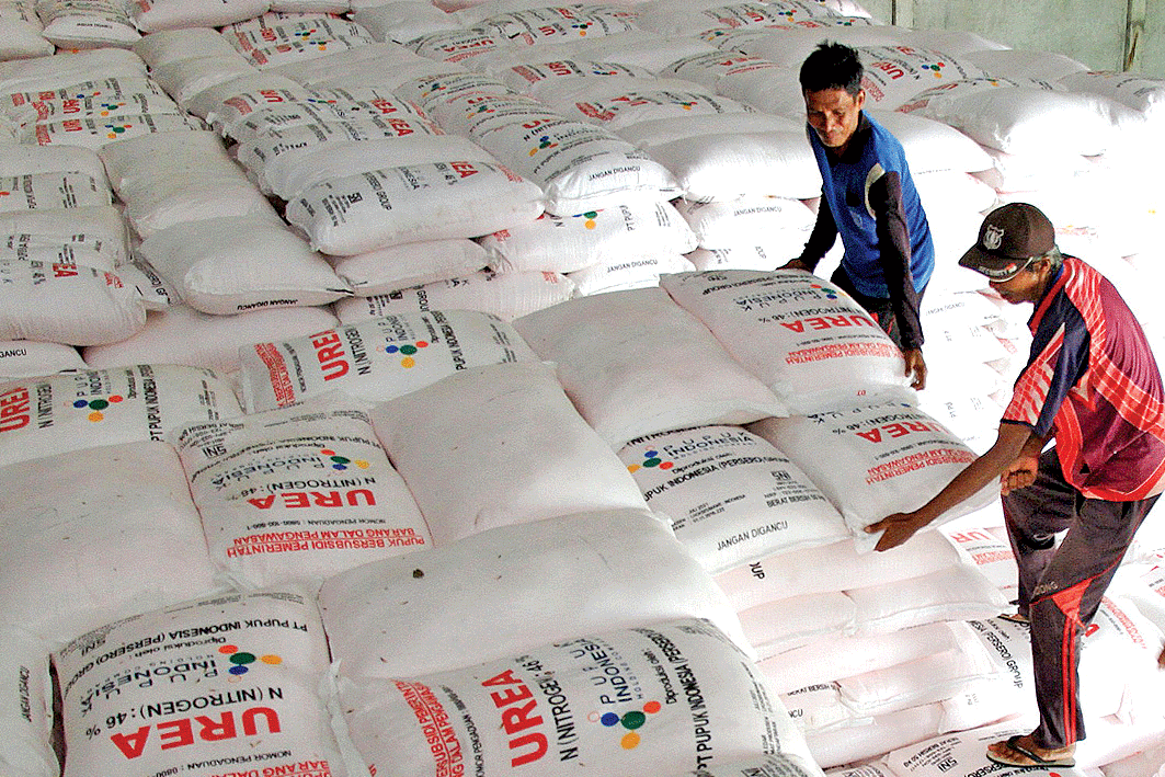 UPAYA PENAMBAHAN PUPUK BERSUBSIDI: Pekerja menata pupuk urea di gudang persediaan pupuk di Desa Blang Sapek, Kecamatan Suka Makmur , Aceh