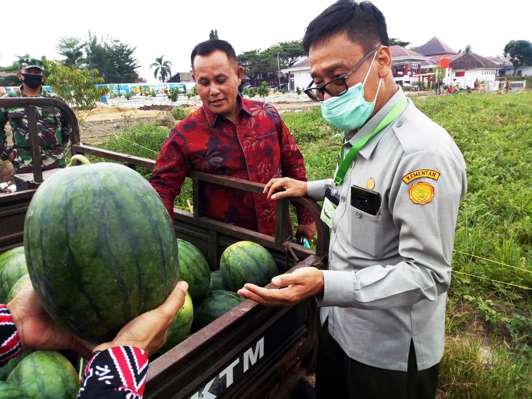 Bupati Lamsel, Nanang Ermanto dan Kepala BPPSDMP Kementan, Dedi Nursyamsi (kanan) usai panen semangka memanfaatkan lahan tidur.