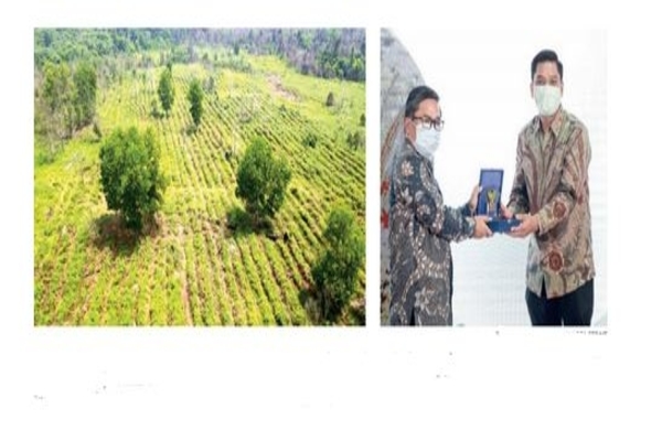 SKK Migas–EMP Malacca Strait SA Resmikan Program Penanaman Rehabilitasi DAS di Taman Nasional Tesso Nilo