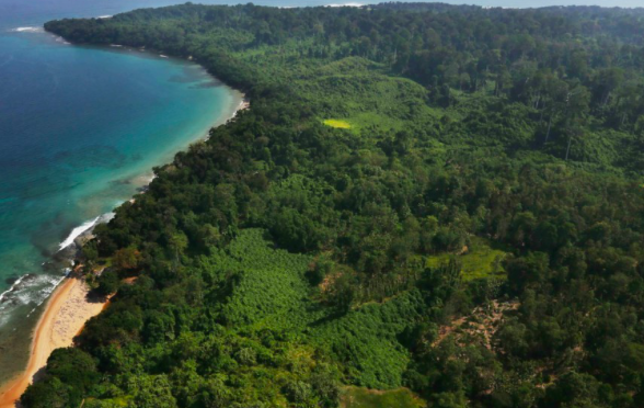 ILUSTRASI: Kawasan Konservasi Flora dan Fauna Tambling Wildlife Nature Conservation(TWNC), Lampung Selatan, Sabtu (28/2)