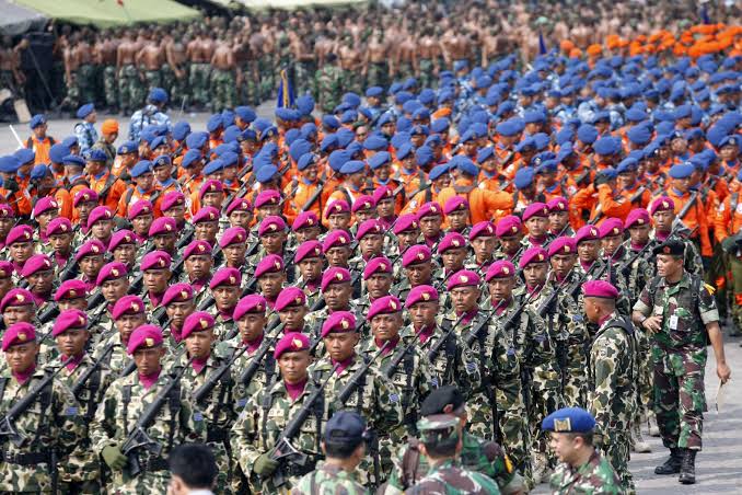 Ilustrasi TNI