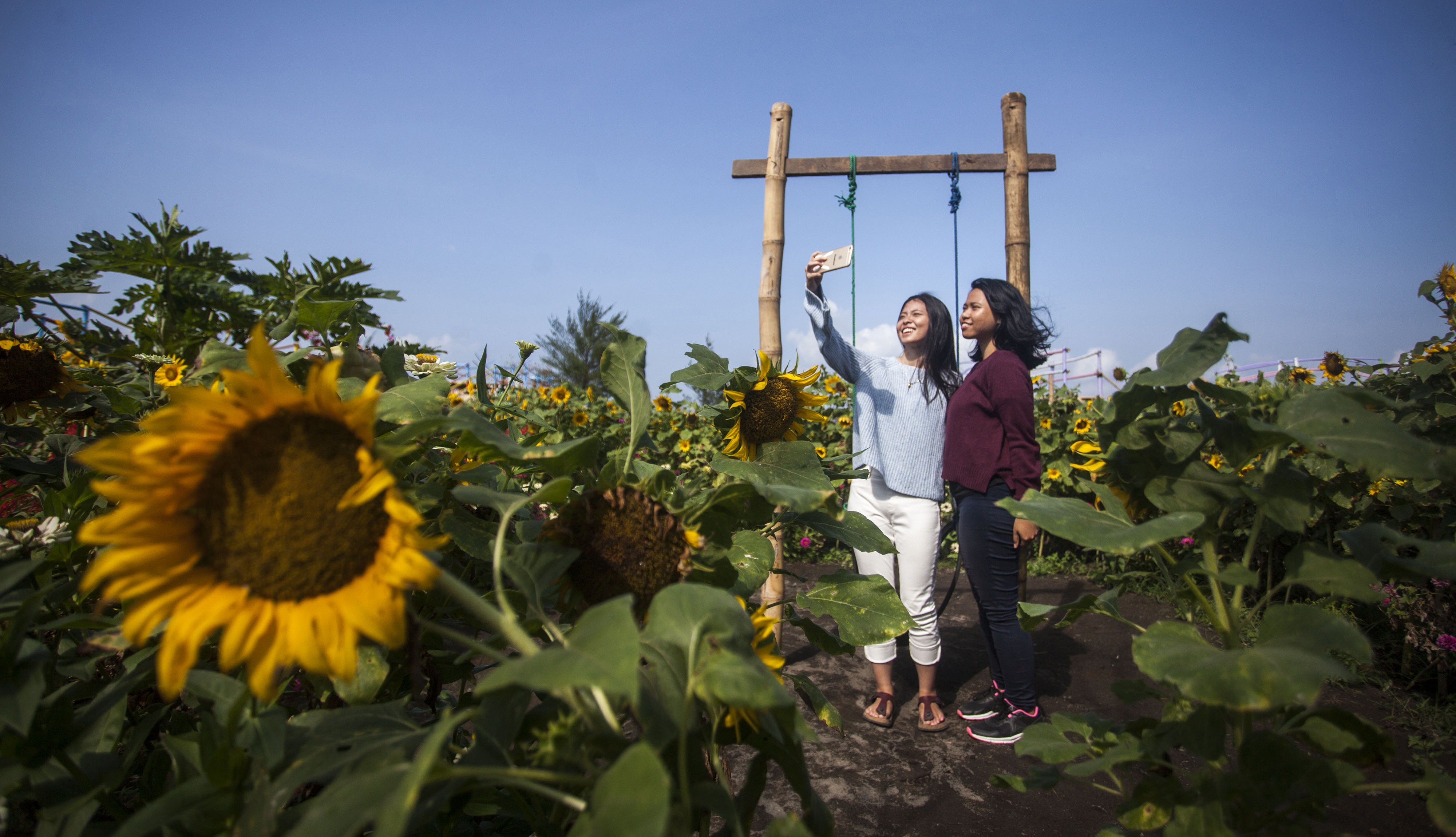Potensi Jogja Jadi Destinasi Wisata Internasional untuk Pernikahan