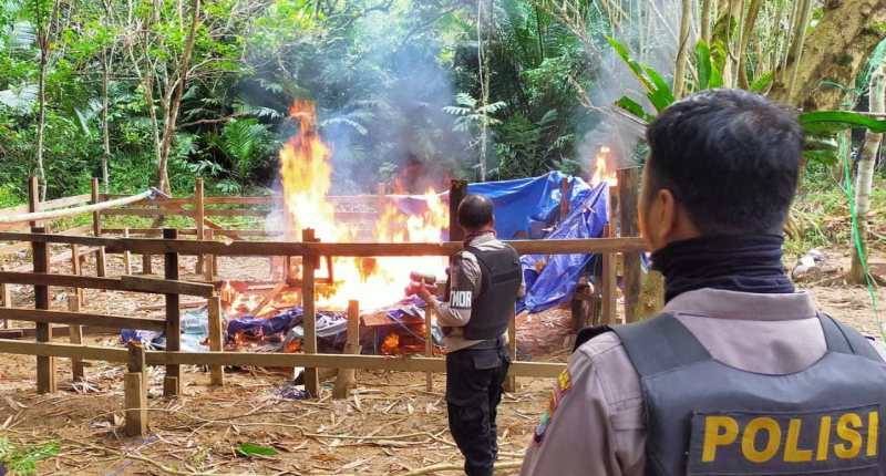 Arena judi ayam di Sorong dimusnahkan oleh tim gabungan Polri dan TNI.