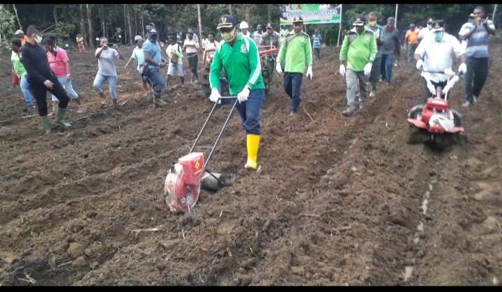 Gerakan menanam di Maybrat.