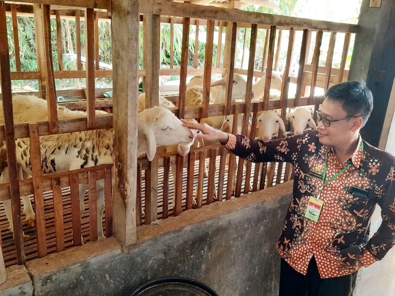 Kepala Badan Penyuluhan dan Pengembangan SDM Pertanian, Kementan, Dedi Nursyamsi.