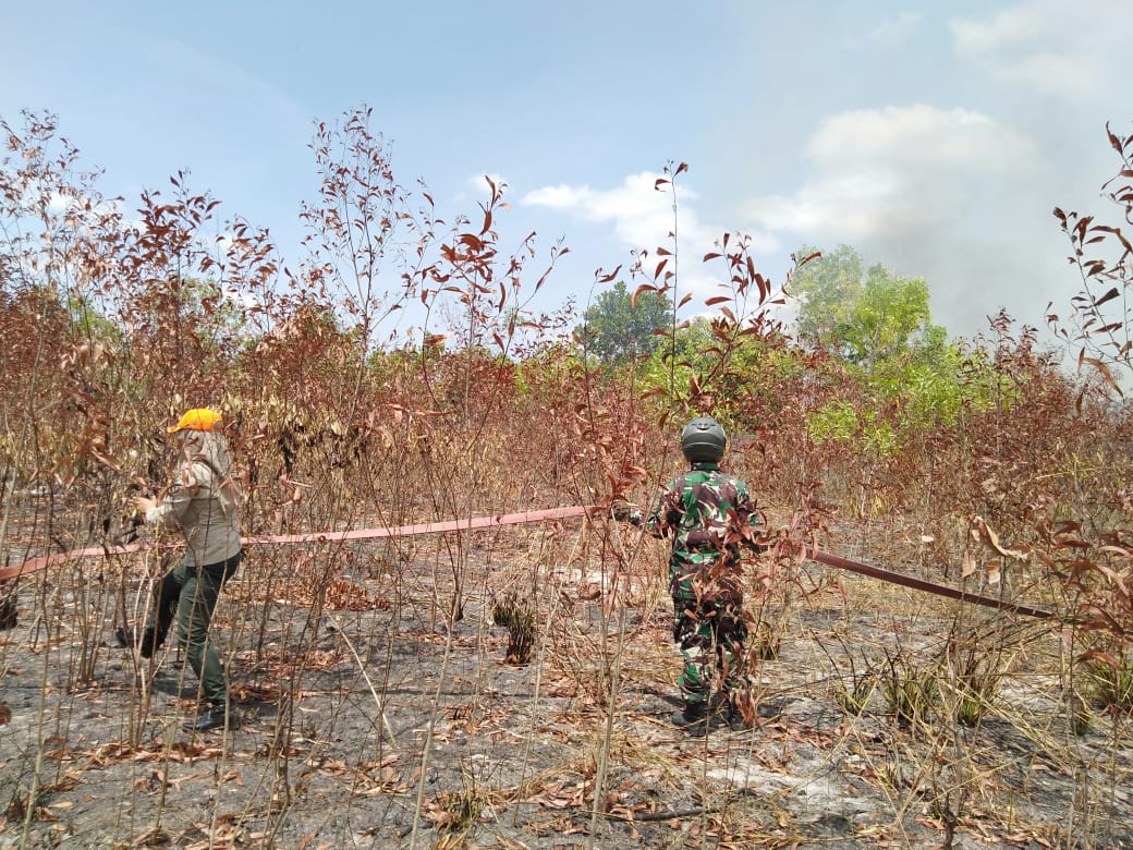 Tim gabungan memadamkan karhutla di Bangka Belitung tahun 2019.