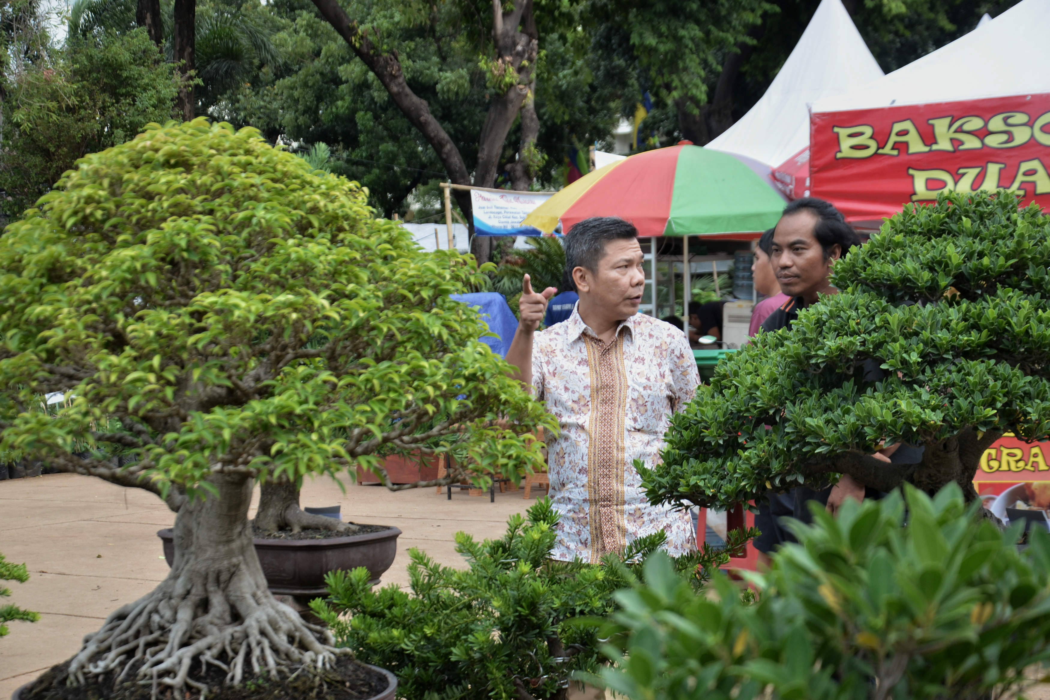 keanekaragaman hayati Indonesia dipamerkan dalam Kehati Expo, November 2019