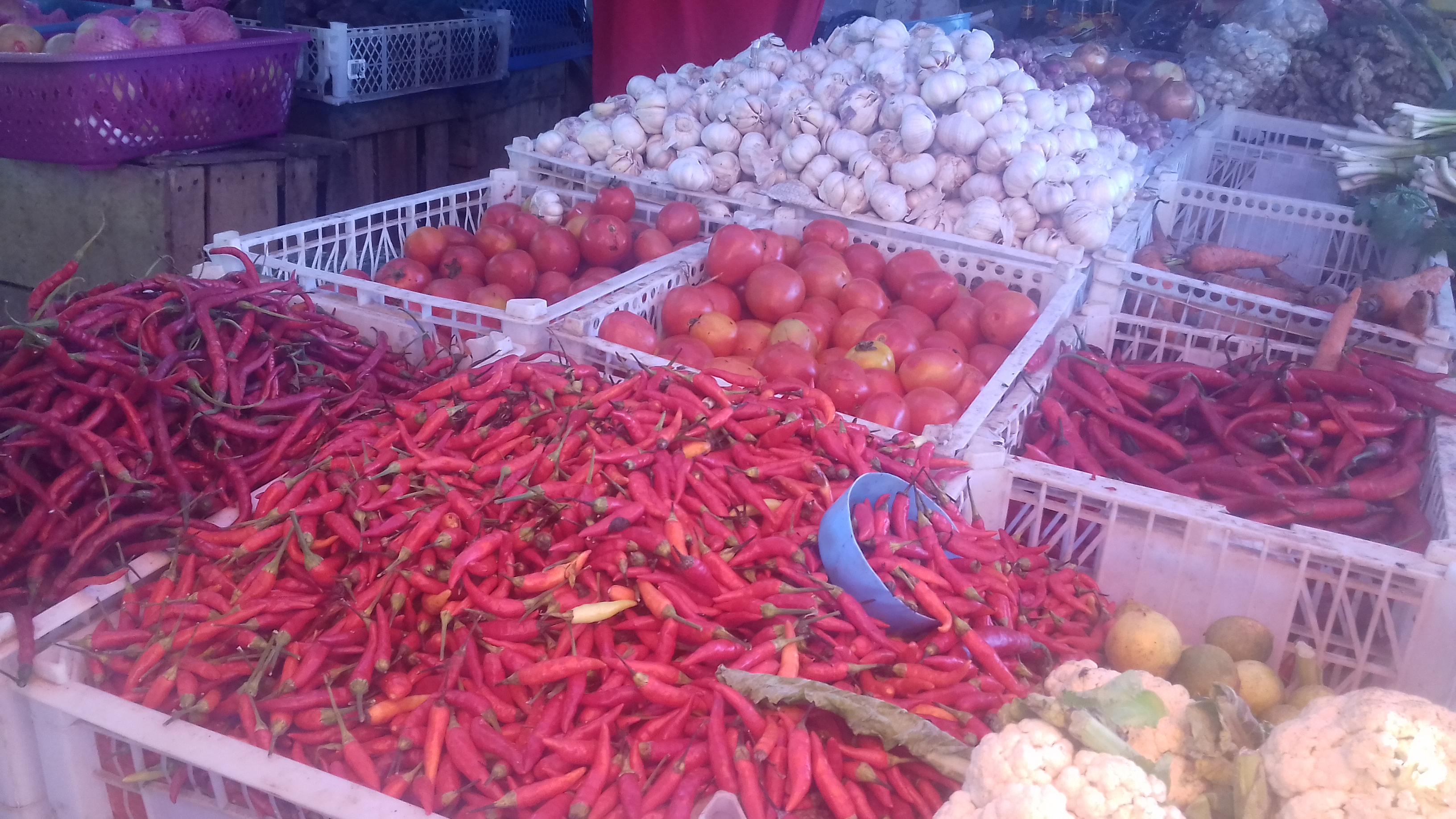 Panen Melimpah Harga Cabai di Mabar Anjlok