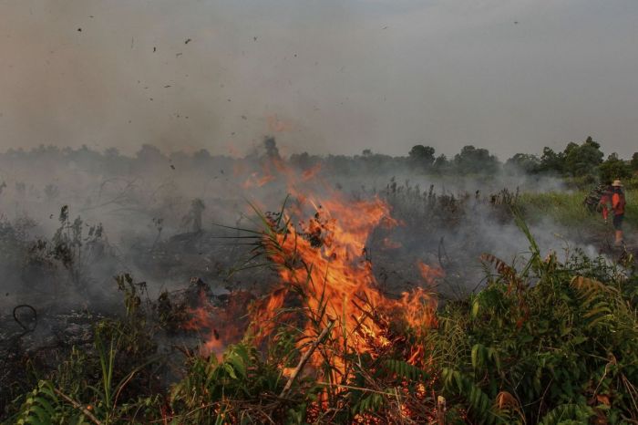 Ilustrasi: Titik panas.