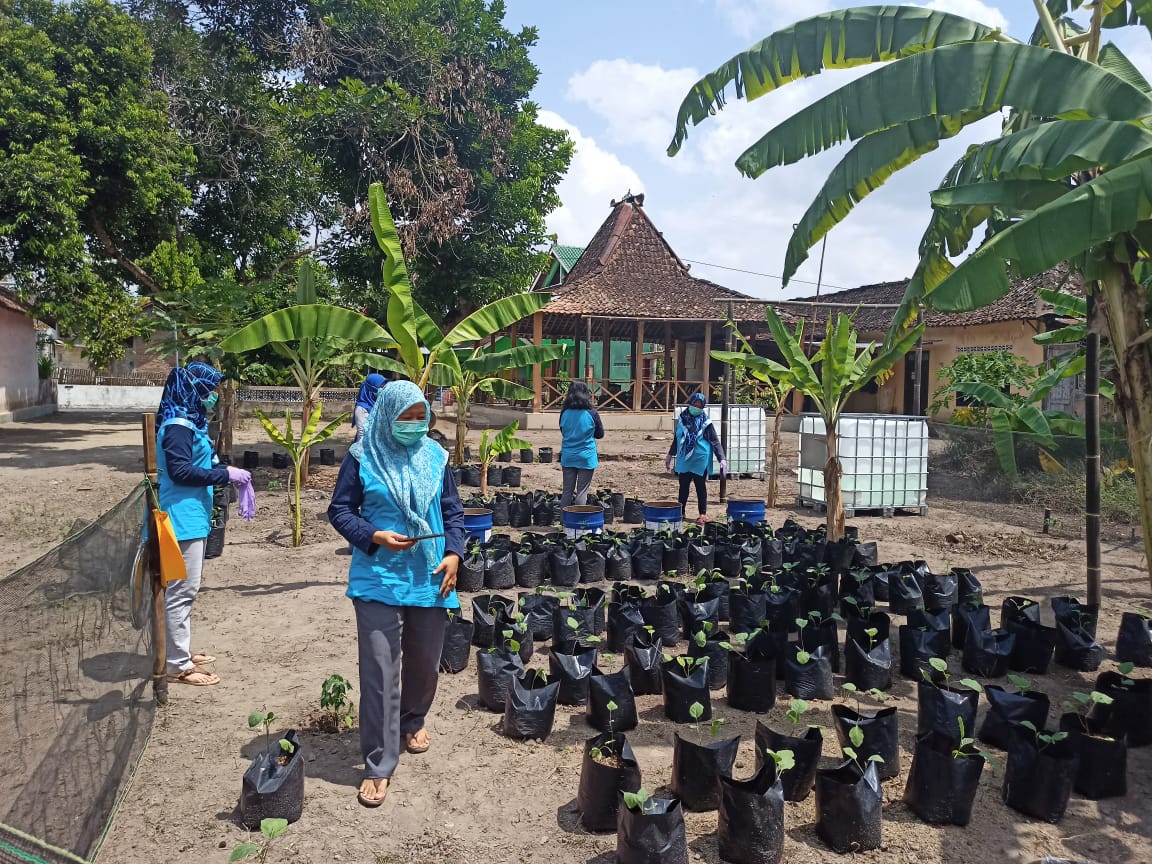 Sejumlah karyawan membantu memberi bibit tanaman kepada petani.