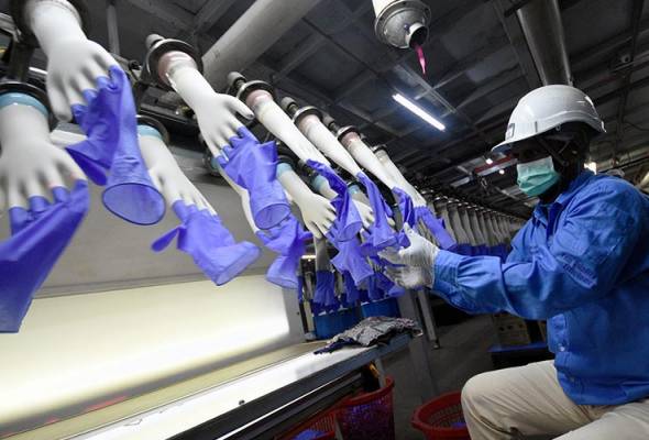 Seorang pekerja tengah mengambil sarung tangan yang baru selesai diproduksi.