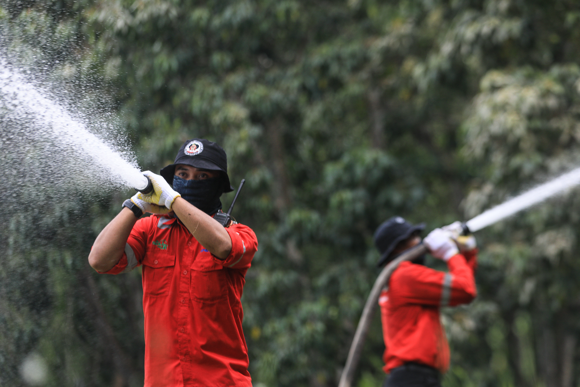 Fire Free Alliance (FFA), aliansi aliansi yang terdiri dari berbagai pihak dengan sukarela mengatasi kebakaran hutan dan lahan. 